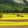 nature-countryside-field-landscape-66874