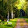 nature-bench-carved-stones-cemetery-257360